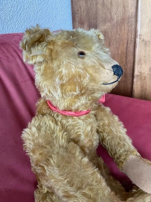 Vintage Steiff Bär für Sammler, 60 cm gross, 1920 Bild 7