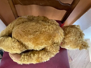 Vintage Steiff Bär für Sammler, 60 cm gross, 1920 Bild 9