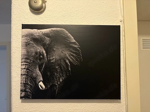schöne Elefantan wanddeko 30x40cm