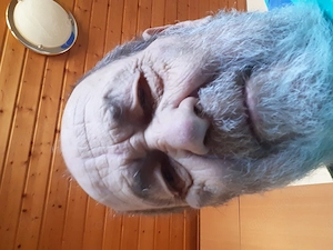 Appetitholenimmergerne