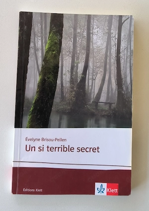 Un si terrible secret von Évelyne Brisou-Pellen (auf Französisch