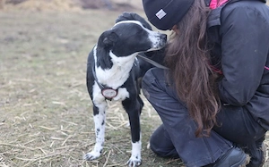 Familie gesucht für Josi Bild 5