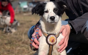 Ist Cleo genau die Richtige für dich?