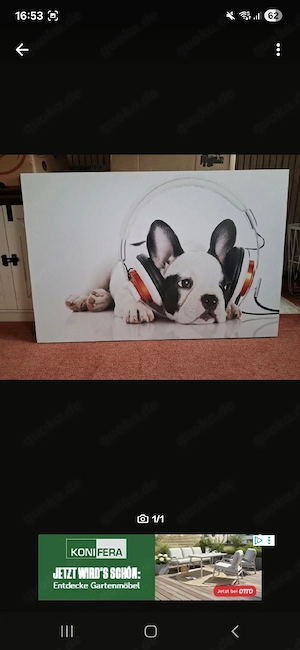 Frenchie Bild 