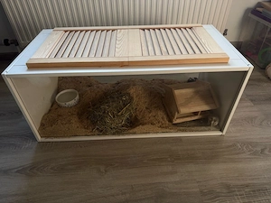 Wüstenrennmäuse + Gehege 