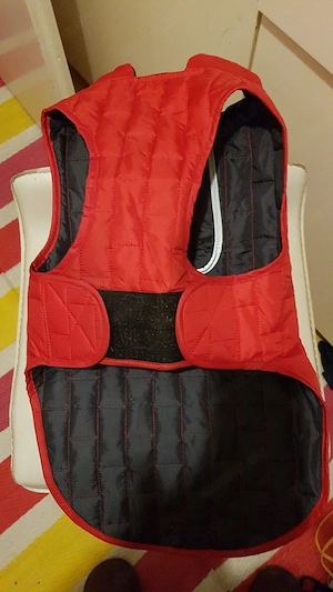 Hunde Übergangsmantel