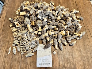  Holen Sie sich die besten Landfische und Pilze. Bio-Protein.