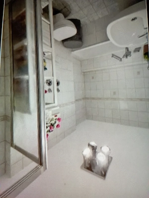 Zwei Zimmer Wohnung in Zusamaltheim zu Verkaufen  Bild 9
