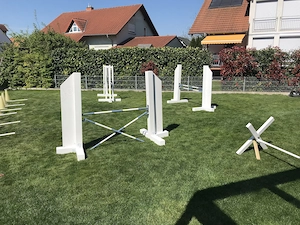 Kindersprünge - Hürden für Pferdeliebhaber