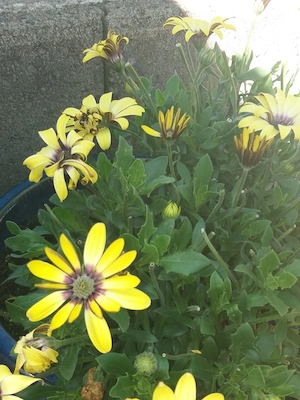 Der Sommer kann kommen