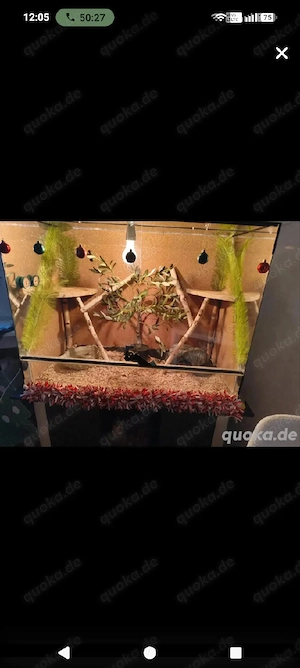 terraium inkl Zubehör 