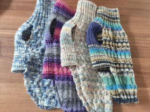 Chihuahua Pullover  Bild 5