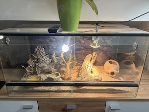 80x40x40 Terrarium 