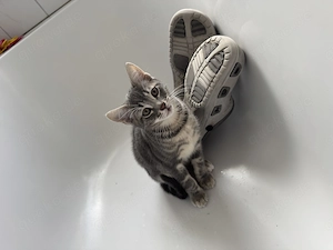 Auch wir suchen noch ein neues Zuhause 