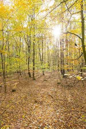 Er (52,18x6) sucht Frauen 21+ für Outdoor Dates