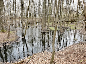 Willige devote Stute21+ gesucht - hemmungslos besteigen