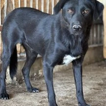 Lisa S ca. 43 cm   geht in der Menge unter