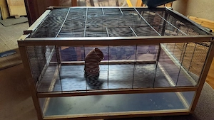 Käfigkombination optimiert für Degus, Ratten, Mäuse (Nagetiere) Bild 3