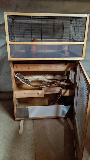 Käfigkombination optimiert für Degus, Ratten, Mäuse (Nagetiere) Bild 2