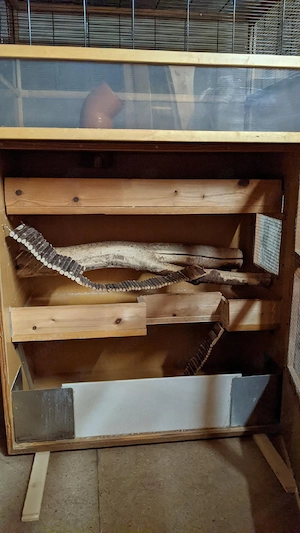 Käfigkombination optimiert für Degus, Ratten, Mäuse (Nagetiere) Bild 8