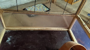 Käfigkombination optimiert für Degus, Ratten, Mäuse (Nagetiere) Bild 5