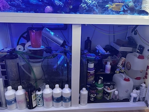 Meerwasseraquarium Systemvolumen 600 L
