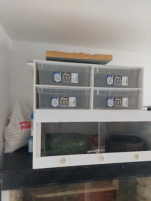 Biete 4er xl Rack an aus dem hause boa tempel.