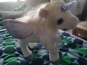 Einhörn zu Verkaufen 