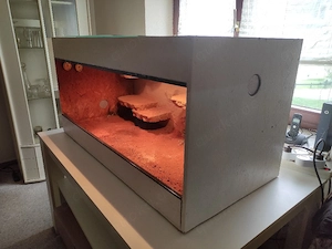 Terrarium zu verkaufen 