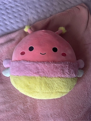 Squishmallow Apollo 30cm