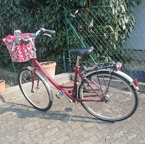 Damen Fahrrad 