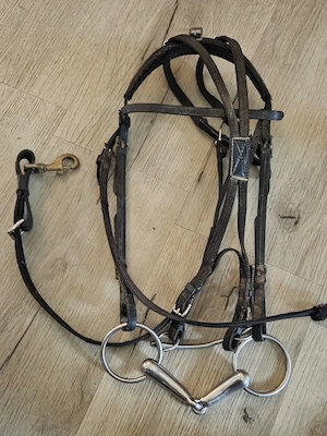 Traberzaum, komplett mit Gebisse und Check 