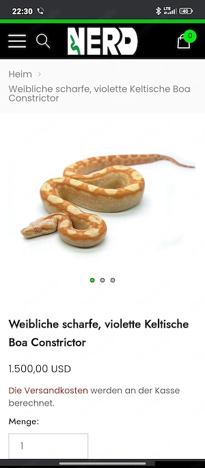 0,1 Sunglow Purple Keltic