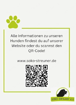 Emely mag Streicheleinheiten Bild 6