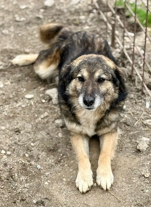 Mortimer überzeugt durch seine Freundlichkeit