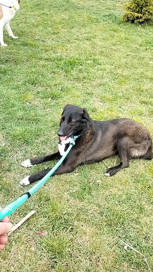 Möchtest du meine Familie sein? Bild 4