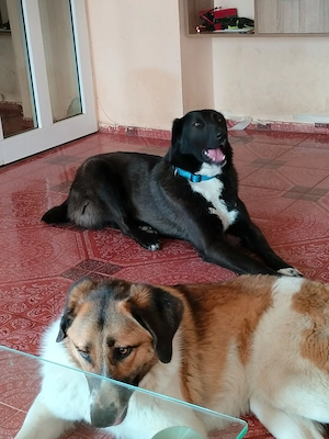 Möchtest du meine Familie sein?