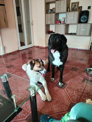 Möchtest du meine Familie sein? Bild 3