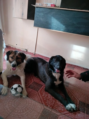 Möchtest du meine Familie sein? Bild 7