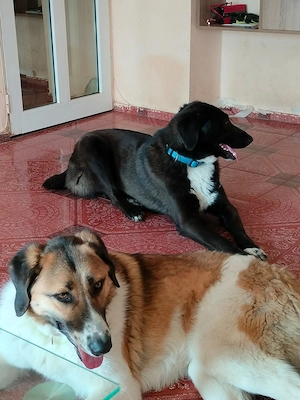 Möchtest du meine Familie sein? Bild 5