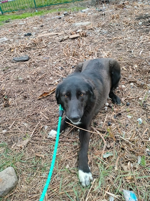 Möchtest du meine Familie sein?