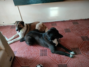 Möchtest du meine Familie sein? Bild 6