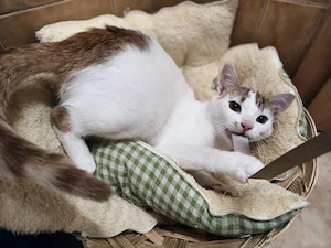 Zak und April wollen zusammenbleiben