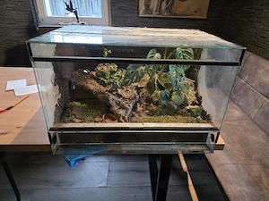 Verschiedene Terrarien