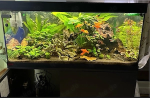 EHEIM Vivaline 180 Komplettaquarium