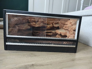 Terrarium mit Rückwand 