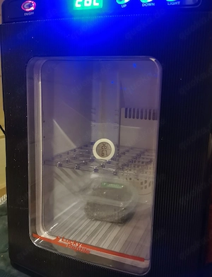 Brüter Inkubator Brutschrank Lucky Reptile 