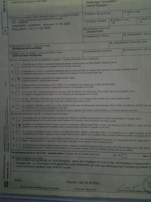 Handaufgezogene  Gelbnackenamazone