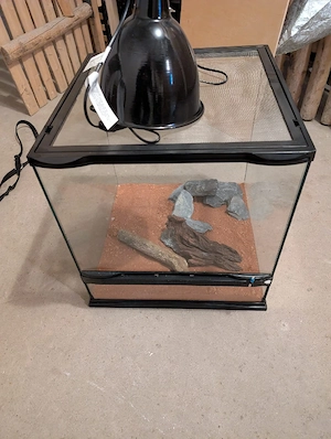 Terrarium mit Lampenhalterung