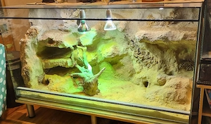 Glasterrarium 150cm 80cm 60cm